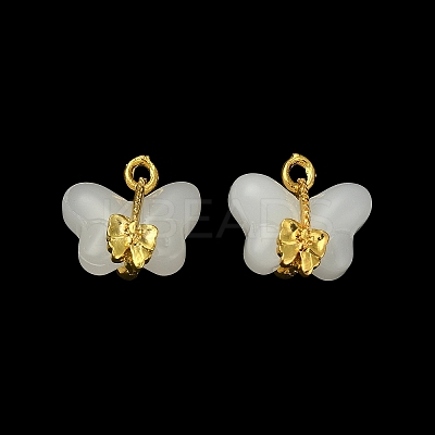 Light Gold Tone Alloy with Glass Charms PALLOY-Q457-01G-01-1