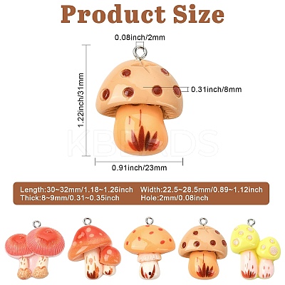 30Pcs 5 Styles Resin Pendants RESI-CJ0005-20-1