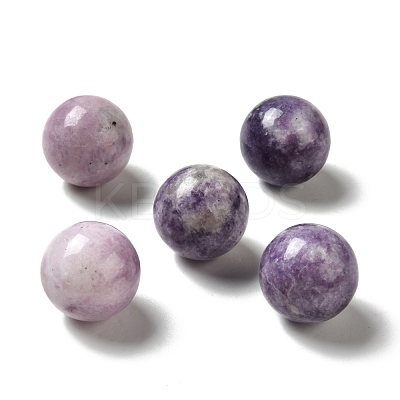 Natural Lepidolite/Purple Mica Stone Beads G-A206-02-09-1