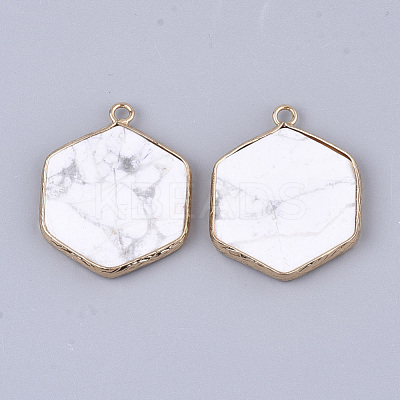 Natural Howlite Pendants G-S344-89I-1