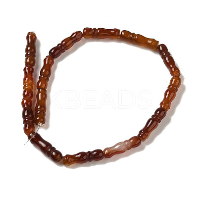 Natural Red Agate Beads Strands G-NH0017-A02-01-1