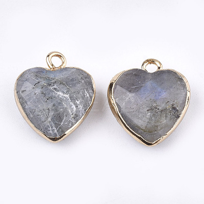 Electroplate Natural Labradorite Pendants X-G-T112-03A-1