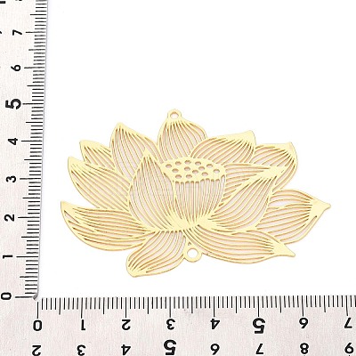 Iron Connector Charms IFIN-N013-02G-1