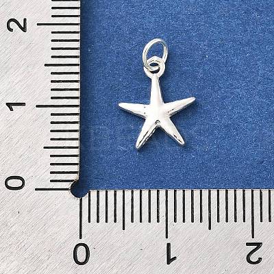 925 Sterling Silver Charms STER-Q003-01C-S-1
