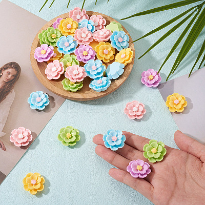 50Pcs 5 Colors 3D Opaque Resin Cabochons RESI-TA0005-02-1