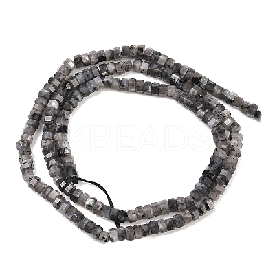 Natural Larvikite Beads Strands G-G345-C05-2x4mm-1