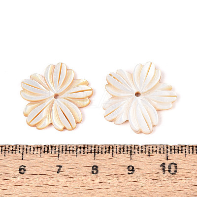 Natural Yellow Shell Carved Pendants BSHE-T014-11-1