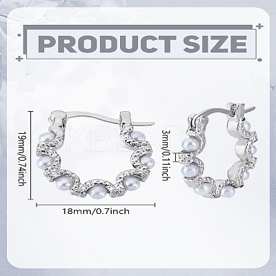 1 Pair Zinc Alloy Hoop Earrings EJEW-LP0003-66LG-1