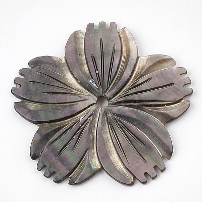 Black Lip Shell Beads SSHEL-S251-11-1