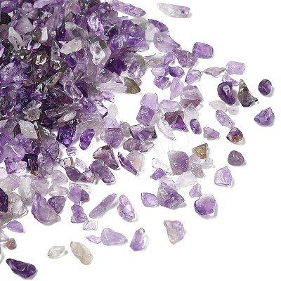 Natural Amethyst Chip Beads X-G-L453-06-1