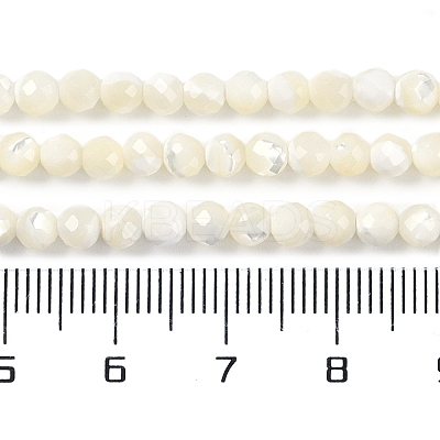 Shell Beads Strands SSHEL-E571-38-4mm-1