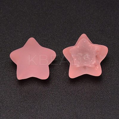 Frosted Resin Cabochons RESI-CJC0014-01D-1