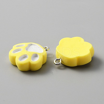 Opaque Resin Pendants LS-RESI-TAC0004-25A-1