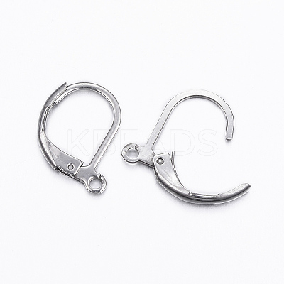 Tarnish Resistant 304 Stainless Steel Leverback Earring Findings LS-STAS-H376-100-1