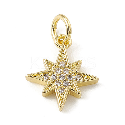 Brass Micro Pave Cubic Zirconia Charms LS-ZIRC-F132-02G-1