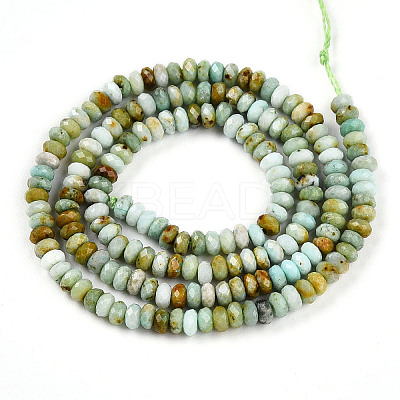 Natural Chrysoprase Beads Strands G-T141-44-1
