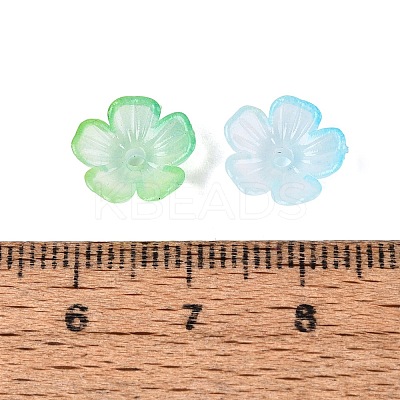 Transparent Plastic Bead Caps KY-Q005-02A-03-1