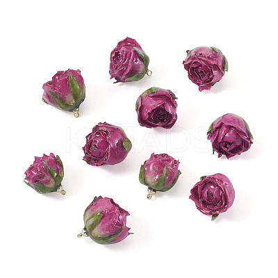 10Pcs Preserved Rose Pendants KY-TA0001-59B-1