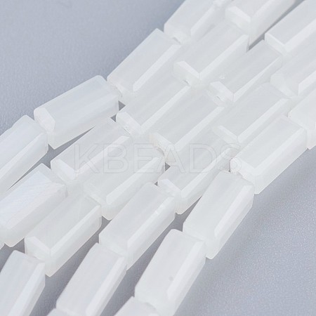 Glass Beads Strands EGLA-F123-3x6mm-NB05-1