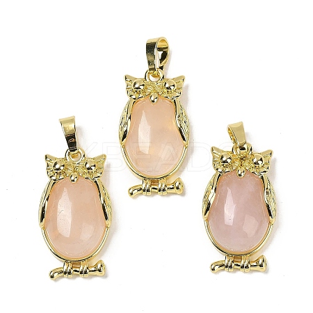 Natural Rose Quartz Pendant KK-F887-02G-15-1
