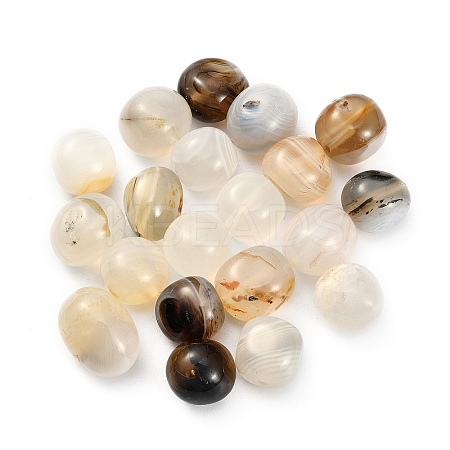 20Pcs Natural Marine Chalcedony Beads G-FS0001-61-1