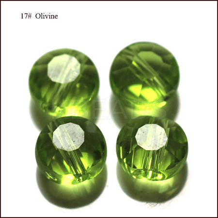 Imitation Austrian Crystal Beads SWAR-F065-6mm-17-1
