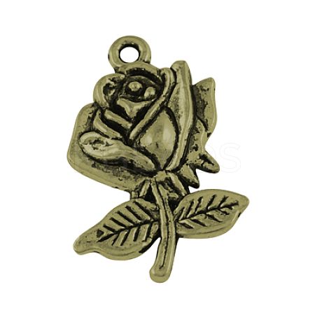 Alloy Pendants PALLOY-21814-AB-NR-1