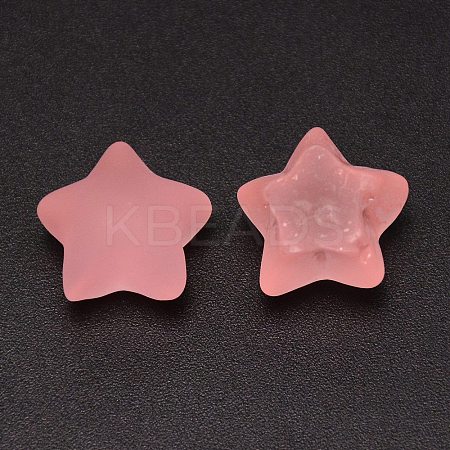 Frosted Resin Cabochons RESI-CJC0014-01D-1
