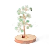 Natural Green Aventurine Chips with Brass Wrapped Wire Money Tree on Wood Base Display Decorations DJEW-B007-05D-1