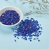 Glass Seed Beads X-SEED-S059-005-6