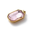 316 Stainless Steel Faceted Glass Pendants STAS-K258-48G-08-2