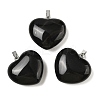 Natural Black Agate(Dyed & Heated) Pendants G-A249-04B-02P-1