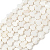 Natural Freshwater Shell Beads Strands SHEL-K010-02B-1
