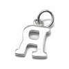 925 Sterling Silver Charms STER-E064-03R-P-2