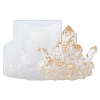 DIY Crystal Cluster Display Decoration Silicone Molds DIY-YWC0003-02C-1