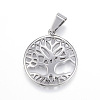 Tarnish Resistant 304 Stainless Steel Pendants LS-STAS-G126-16P-1