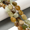 Natural Xiuyan Jade Beads Strands G-B078-D19-04-2