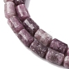 Natural Lepidolite Beads Strands G-F808-B01-01-4