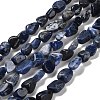 Natural Sodalite Beads Strands G-P497-01E-55-1