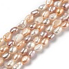 Natural Cultured Freshwater Pearl Beads Strands PEAR-L033-30A-1