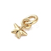 Golden Brass Charms KK-H493-01G-09-2