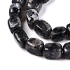 Natural Larvikite Beads Strands G-T138-106-3