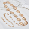 1Pc Alloy Oval Link Chain Belts AJEW-LP0007-43G-1