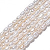 Natural Cultured Freshwater Pearl Beads Strands PEAR-N012-02I-2
