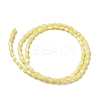 Natural Trochus Shell Beads Strands SHEL-K006-19C-2