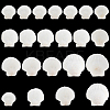 20Pcs 4 Style Natural Scallop Shells SSHEL-PH0001-23-7
