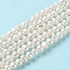 Natural Cultured Freshwater Pearl Beads Strands PEAR-E018-42-2