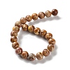 Dyed Natural Regalite/Imperial Jasper/Sea Sediment Jasper Beads Strands G-B124-C01-02-3