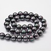 Shell Pearl Bead Strands X-BSHE-L025-05-8mm-2