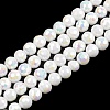 Electroplate Glass Beads Strands EGLA-B013-01A-AB07-1